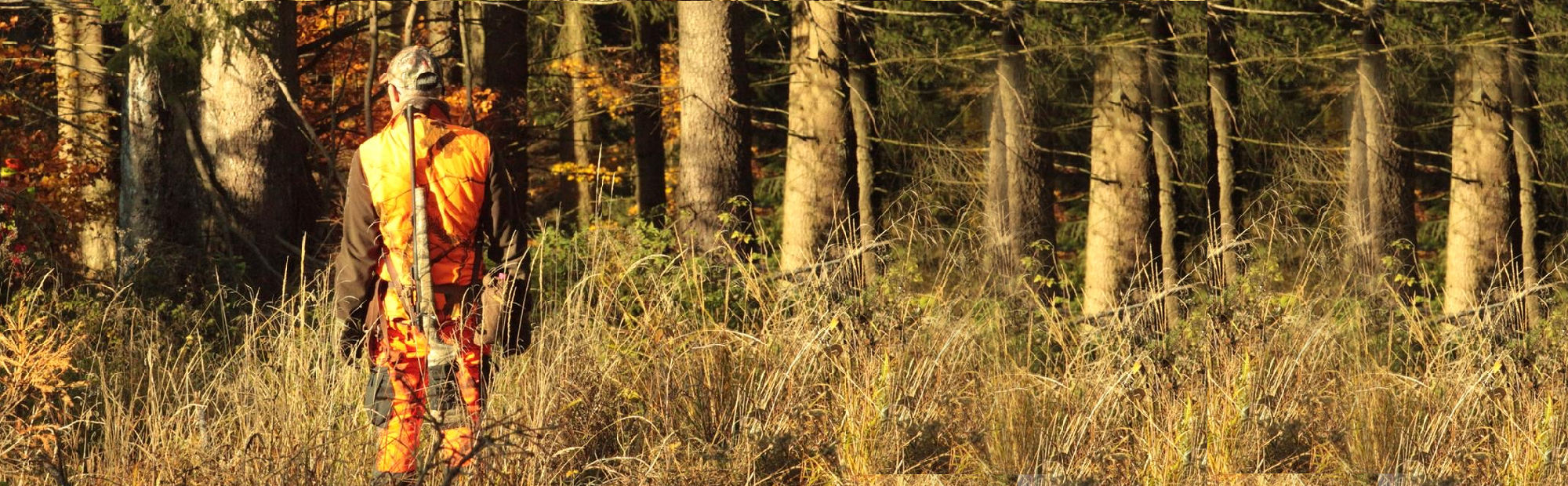 Jäger im Wald